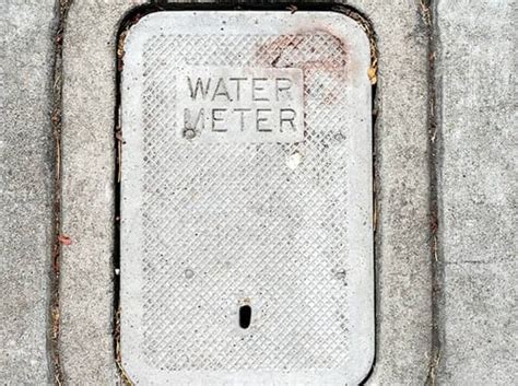 bees in electrical box|bees in water meter box.